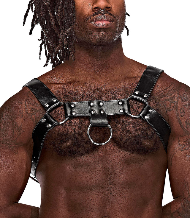 Aries Leather Harness Black