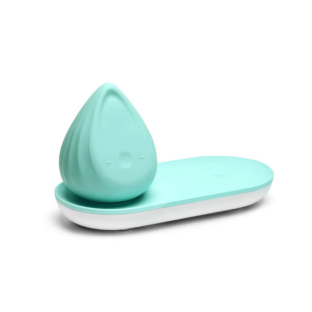 Biird Evii Vibrator with Dual Motors Mint