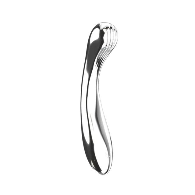 Biird Polii Stainless Steel Dildo