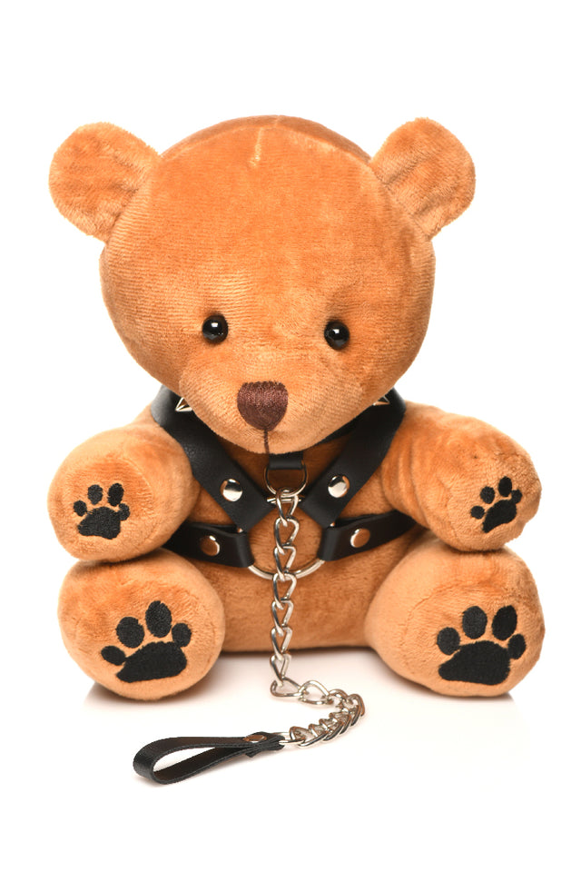 Bondage Pup Bear Teddy