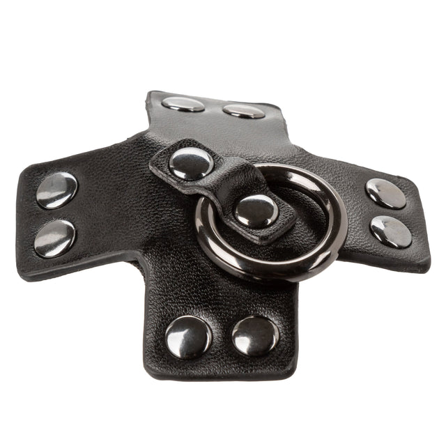 Euphoria Collection O-Ring Pasties - Black Black