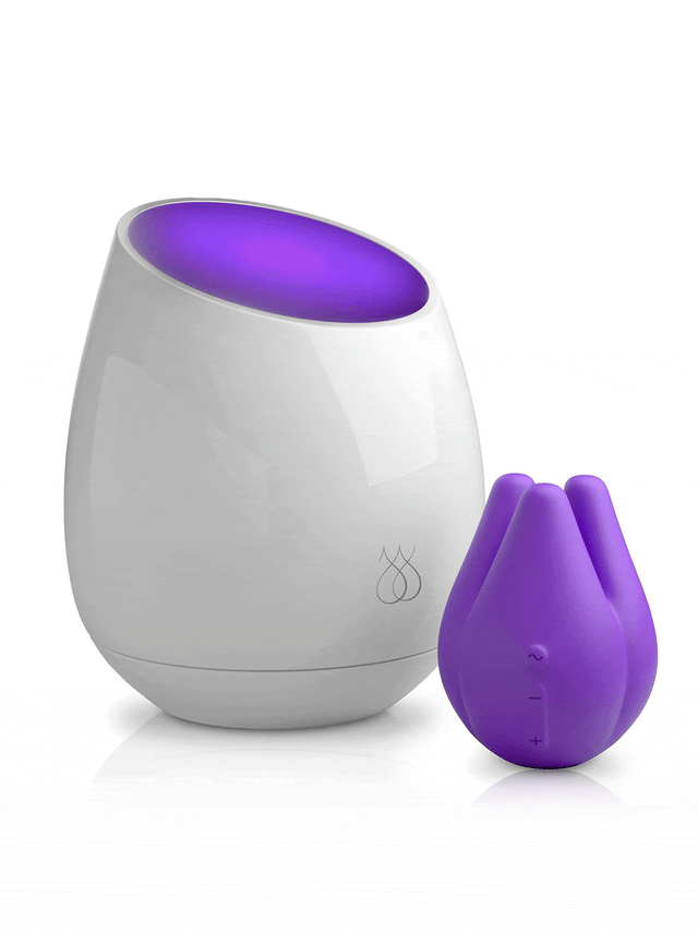 JIMMYJANE UV Sanitizing Mood Light Plus Vibrator Purple