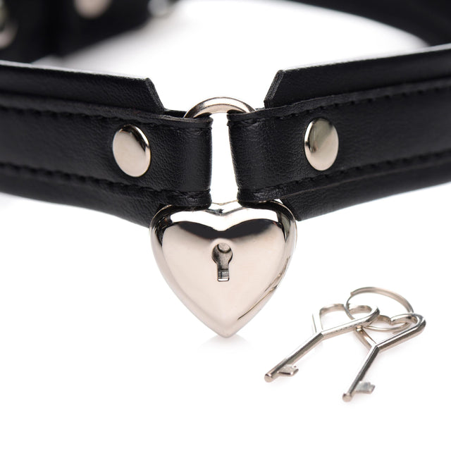 Locking Heart Collar Necklace