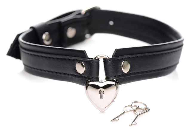 Locking Heart Collar Necklace