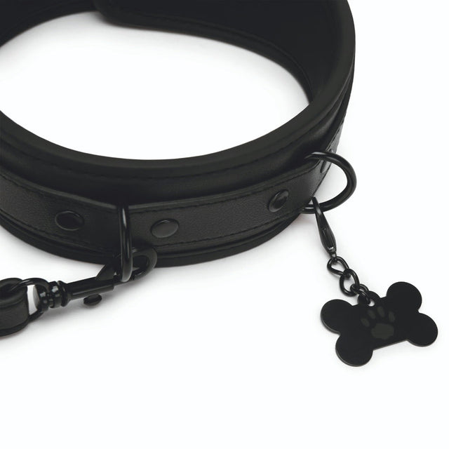 Puppy Collar & Leash Black