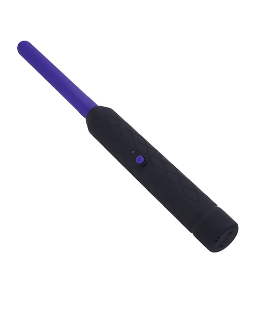 The Stinger Electroplay Wand