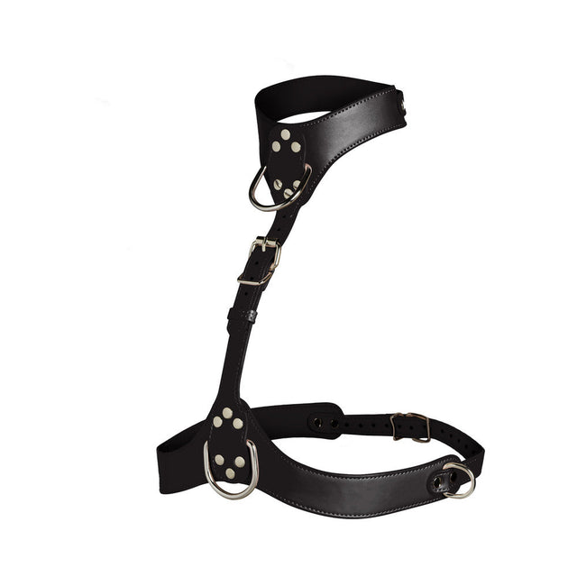 Vixen Chest Harness