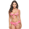 Aubrielle Sheer Mesh Bra Set Pink / Small
