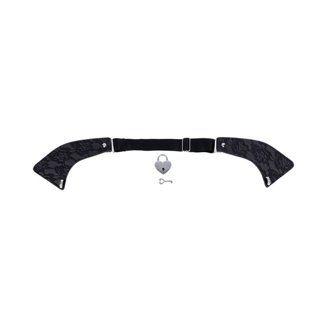 Heartbound Lace Day Collar Black