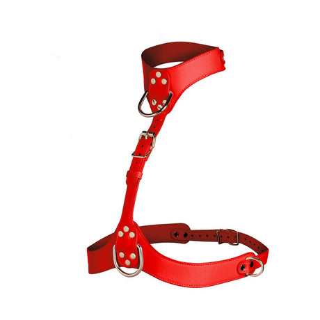 Vixen Chest Harness